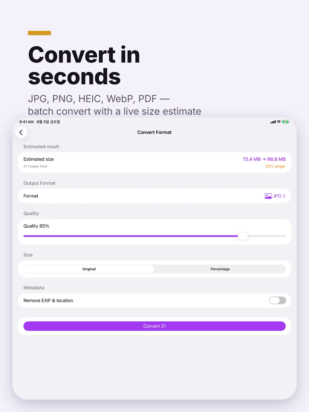 An App Store image headed Convert in seconds, with the Convert Format screen on iPad estimating the size of 21 images and offering to convert all 21 at once.