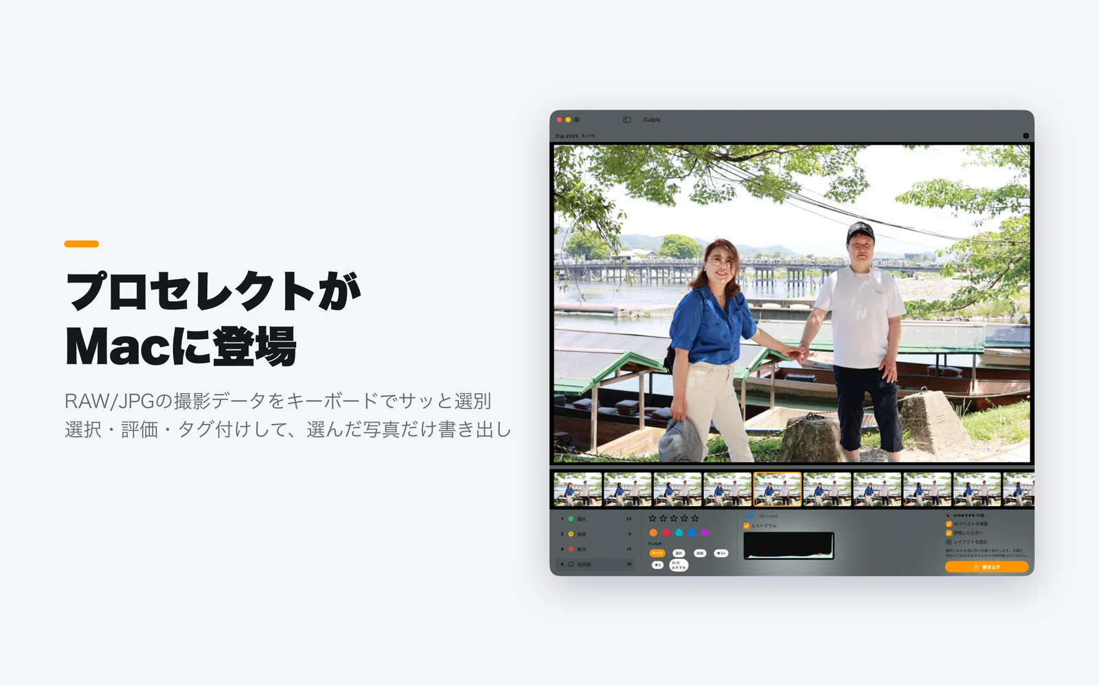 ヒストグラムとEXIFが並んで見えるiPadのプロセレクト画面