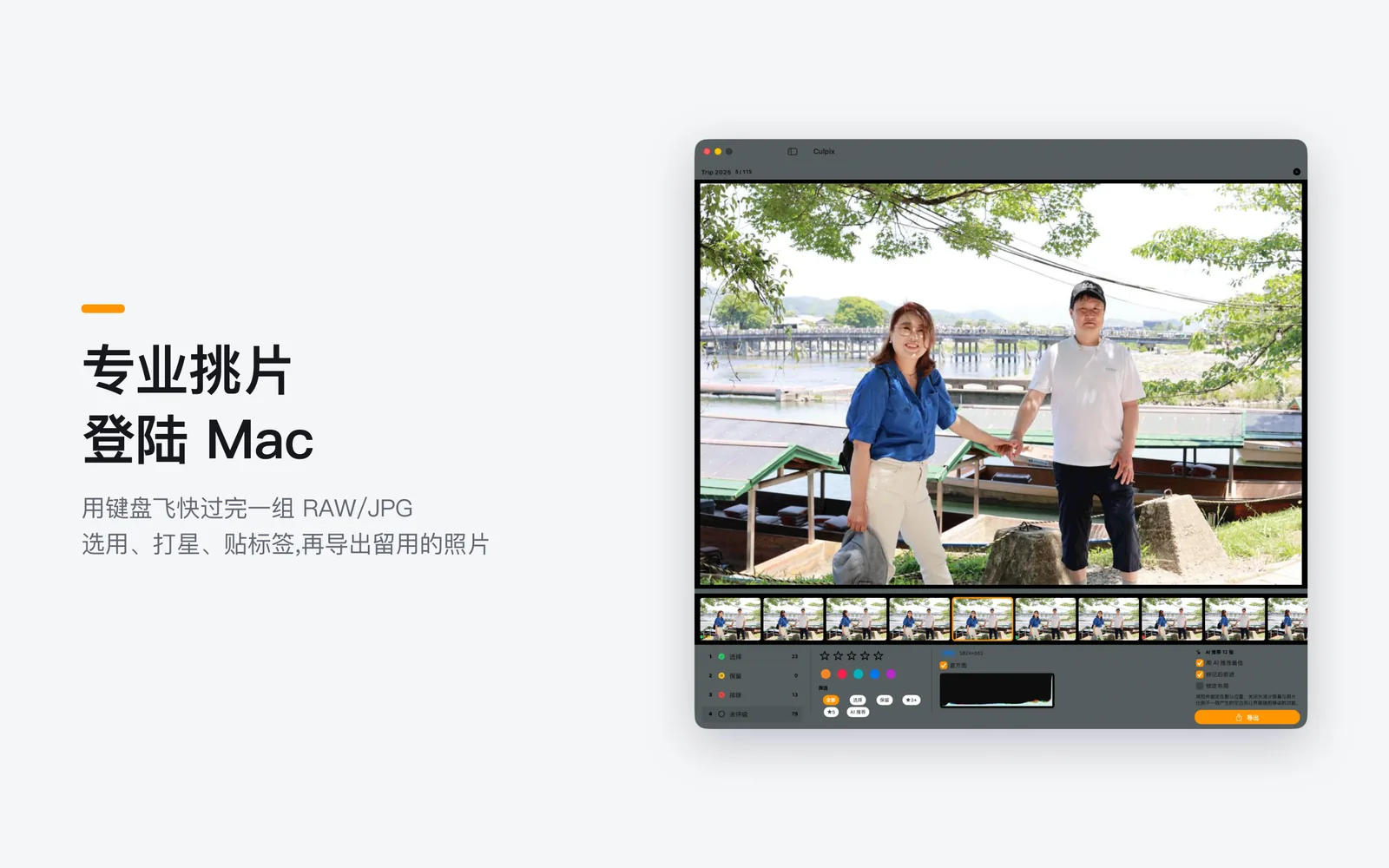 iPad 上的专业挑选界面，照片旁边是直方图和 EXIF