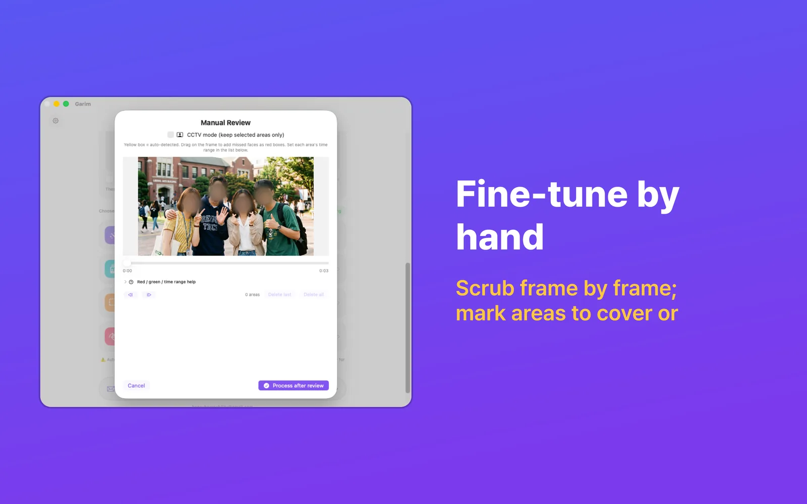 Manual Review on Mac, with frame thumbnails and the regions to cover