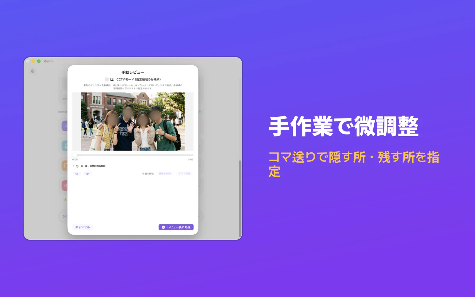 コマのサムネイルと隠す領域が見える Mac の手動レビュー画面