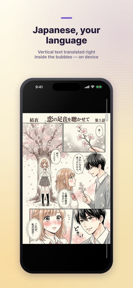 기기 내 번역 / On-device translation